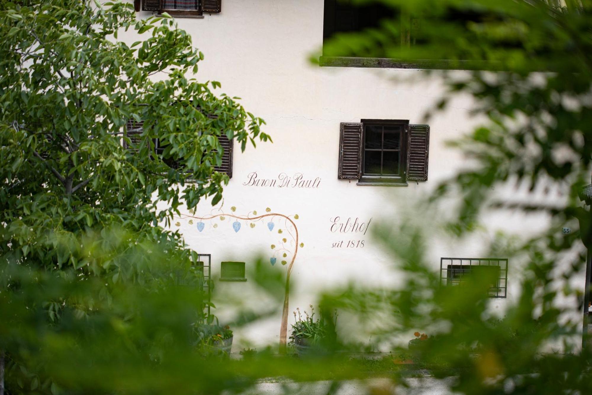 Arzenhof, Baron Di Pauli Apartment Caldaro Exterior foto