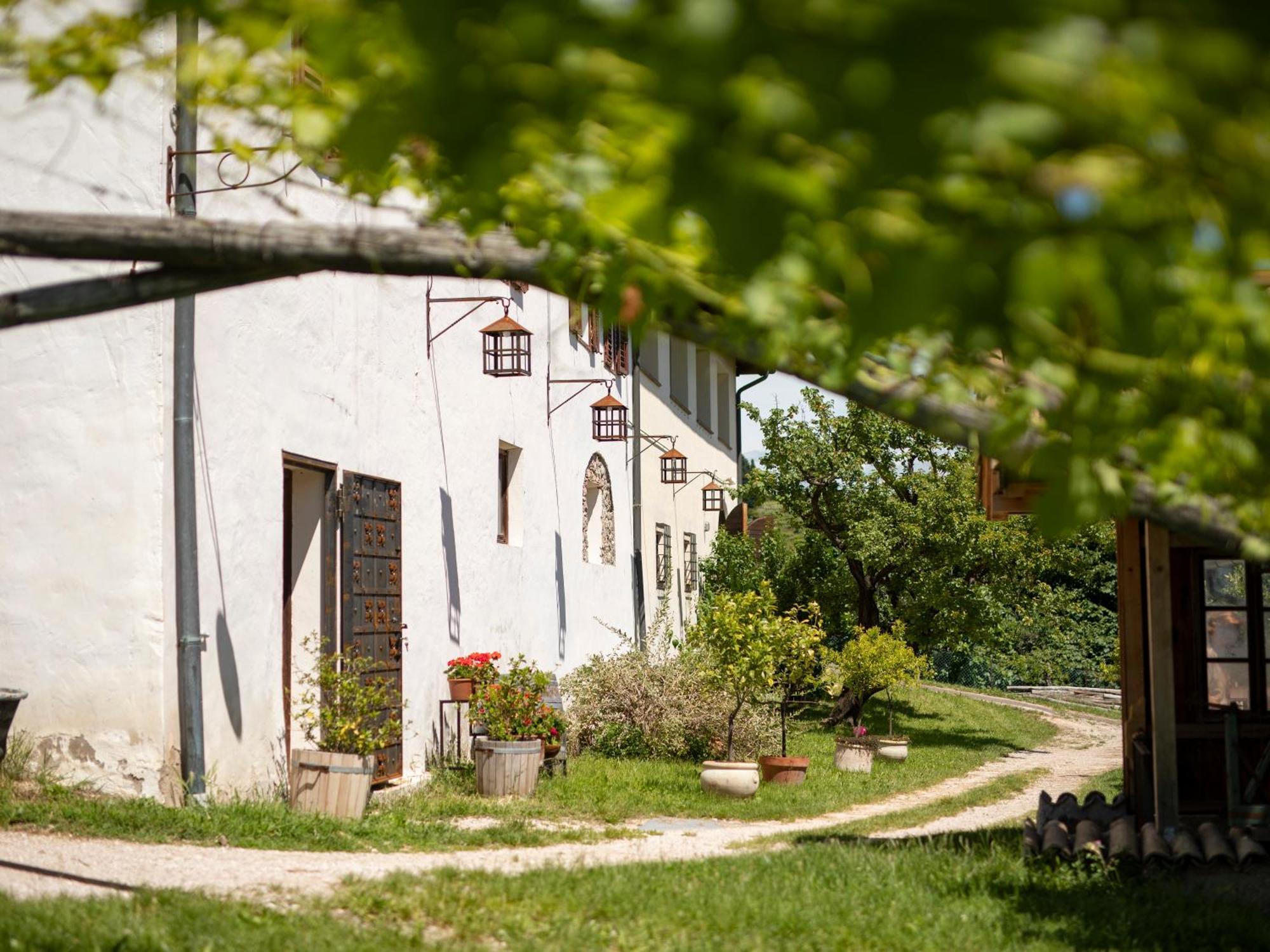 Arzenhof, Baron Di Pauli Apartment Caldaro Exterior foto